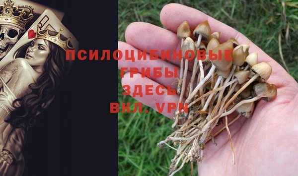 стаф Армянск