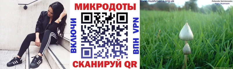 Галлюциногенные грибы Psilocybine cubensis  мега ссылки  Пущино  дарнет шоп 